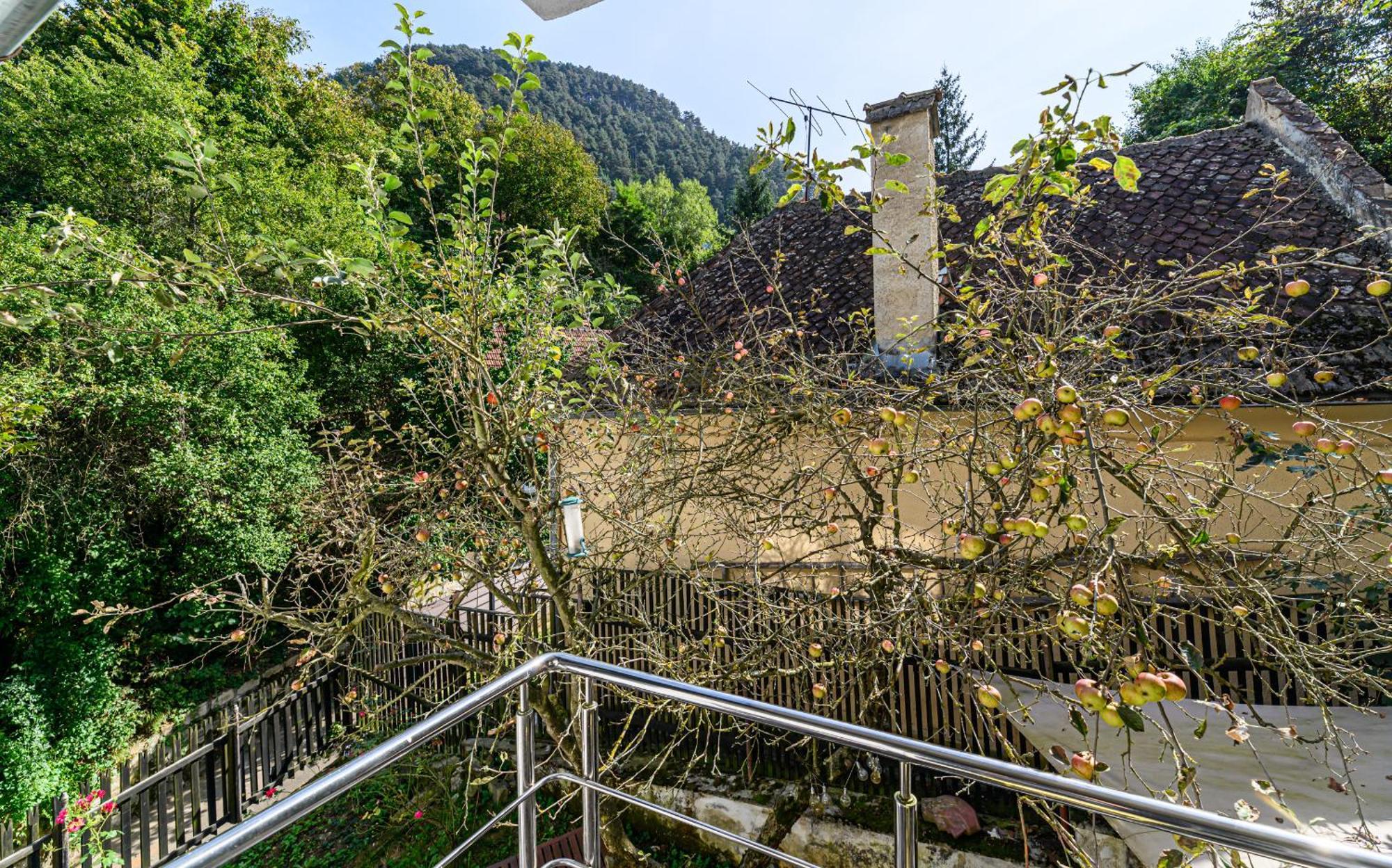 Apartament C Alex Braszów Zewnętrze zdjęcie